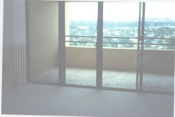 wview.jpg (6613 bytes)