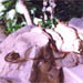 metal and rock detail