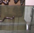 twisted core detail