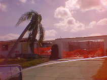 1203_035s.jpg - 8778 Bytes